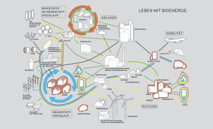 Deutsches Biomasseforschungszentrum Grafik