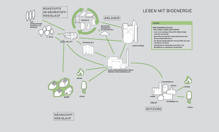 Deutsches Biomasseforschungszentrum Grafik