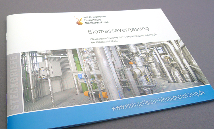 Deutsches Biomasseforschungszentrum Steckbrief Broschur