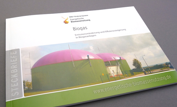 Deutsches Biomasseforschungszentrum Steckbrief Broschur
